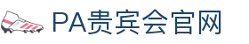 PA贵宾会(中国)集团 - PlayAce